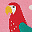 Rock my Socks 3 Pack - Mid Pink/Parrot - Organic Cotton Rock my Socks 3 Pack - Mid Pink/Parrot - Organic Cotton