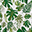 Baby Blanket 75 x 100 cm - Tropical Leaf - 100% Cotton Muslin Baby Blanket 75 x 100 cm - Tropical Leaf - 100% Cotton Muslin