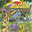 Puffy Sticker Album - Safari - 42 Stickers