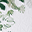 Blanket + Age Cards - 120 x 120 cm - Tropical Leaf - 100% Cotton Muslin Blanket + Age Cards - 120 x 120 cm - Tropical Leaf - 100% Cotton Muslin