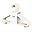 Set of 15 Wheat Straw Hangers - Cream - Slim Design Set of 15 Wheat Straw Hangers - Cream - Slim Design